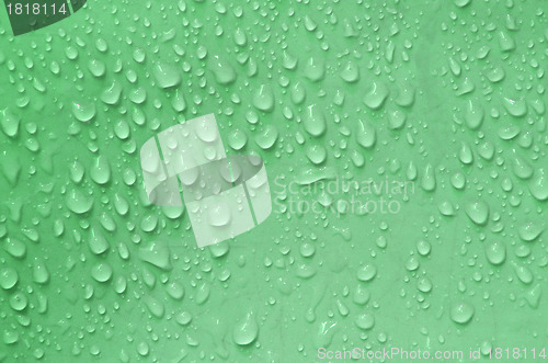 Image of Water droplets on green