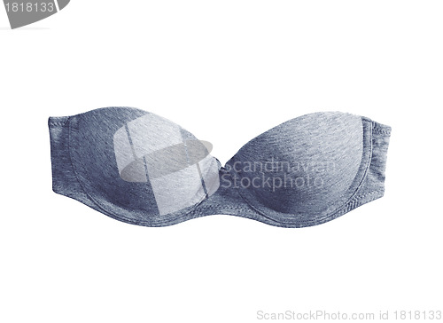Image of Blue lacy feminine bra on white background