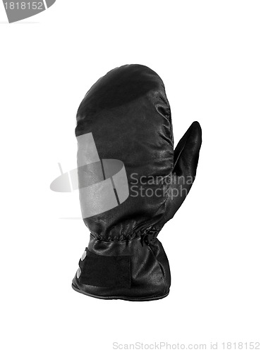 Image of Mitten. On a white background.