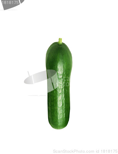 Image of Cucumber isolated on white