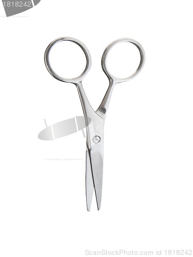 Image of Professional Haircutting Scissors.