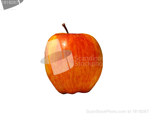 Image of Red apple fruit