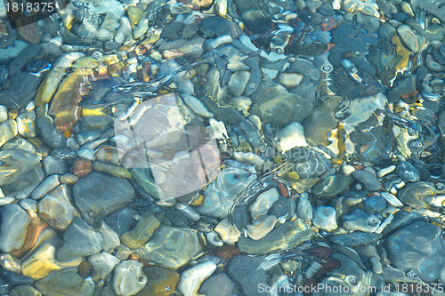 Image of Rocks in a shallow pond