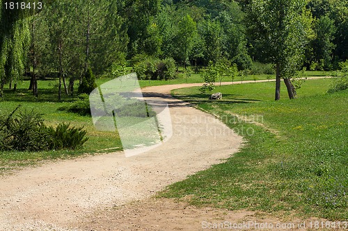 Image of Summer park road