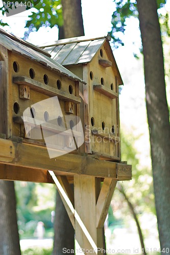 Image of Birdhouses on a tree