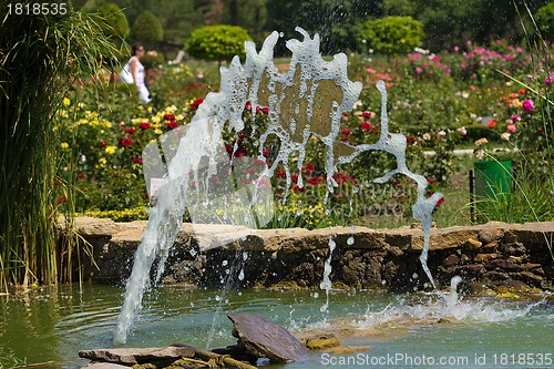 Image of Little cascade in a garden