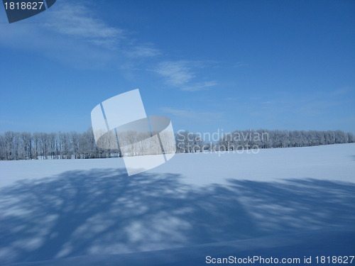 Image of Beautiful winter landscape with snow on the field