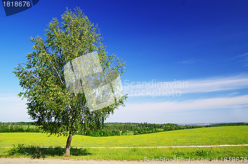 Image of field 