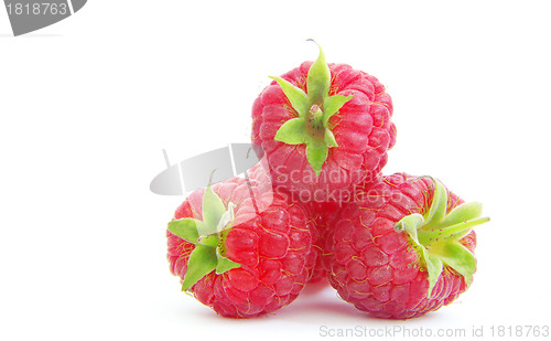 Image of  raspberry 