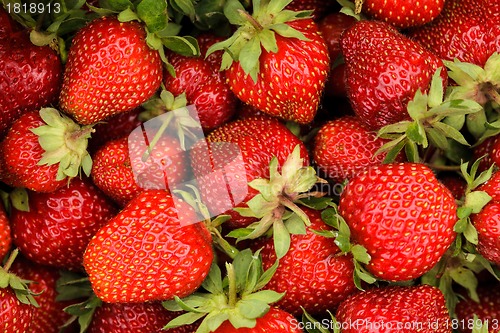 Image of Mulberry berries