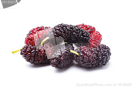 Image of Mulberry berries