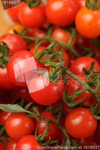 Image of Cherry tomatoes