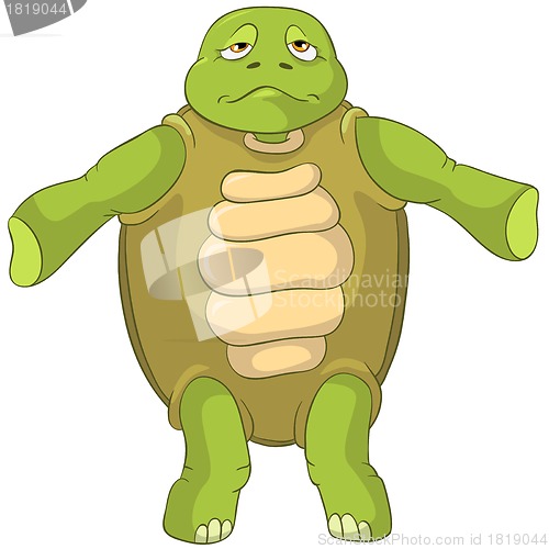 Image of Funny Turtle. Confusion.