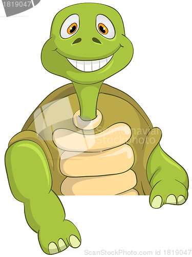 Image of Funny Turtle