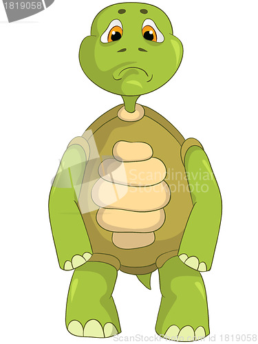 Image of Sad Turtle.