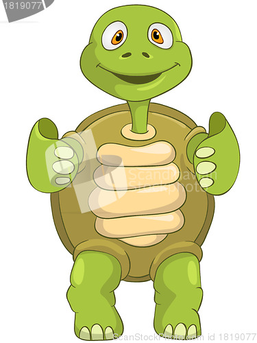 Image of Funny Turtle. Funky.