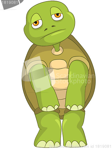 Image of Sad Turtle.
