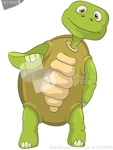 Image of Funny Turtle.