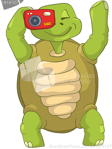 Image of Funny Turtle. Tourist - Photographer.