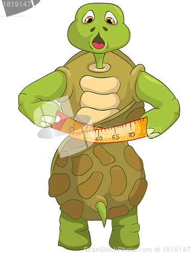 Image of Funny Turtle. Diet.
