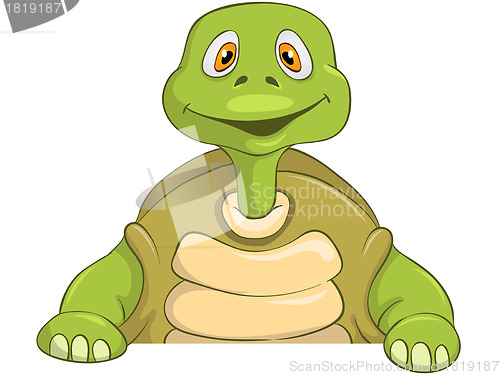 Image of Funny Turtle