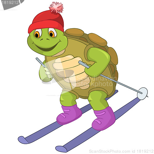 Image of Funny Turtle. Skiing.