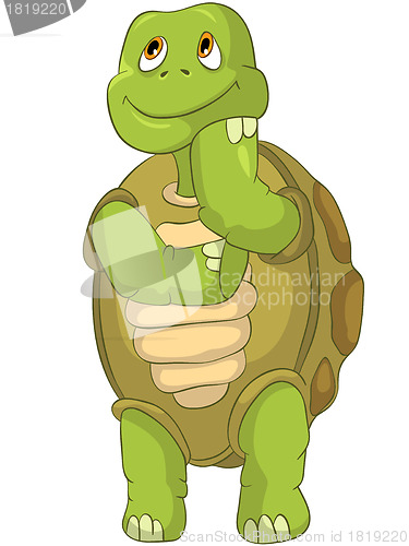 Image of Funny Turtle. Thinking.