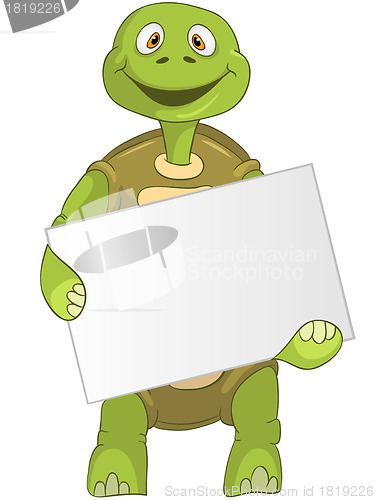 Image of Funny Turtle. Holding Box.