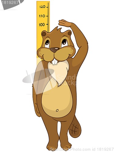 Image of Beaver CREES