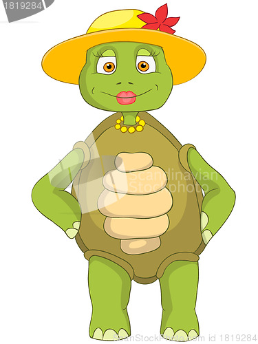 Image of Funny Turtle. Wife.