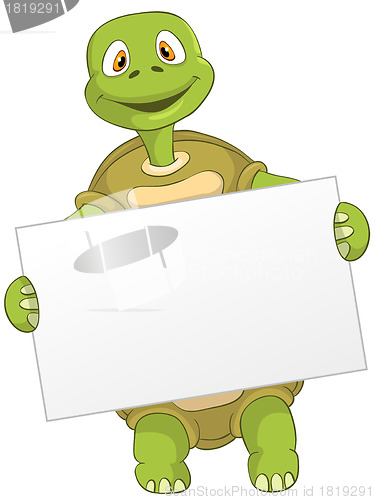 Image of Funny Turtle