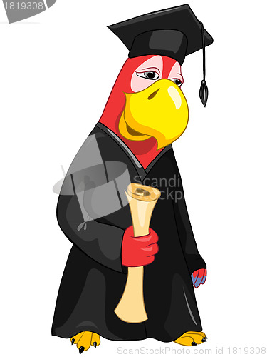 Image of Funny Parrot. Student.