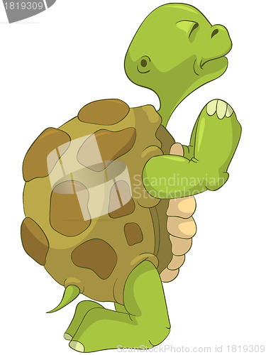 Image of Funny Turtle. Pray.