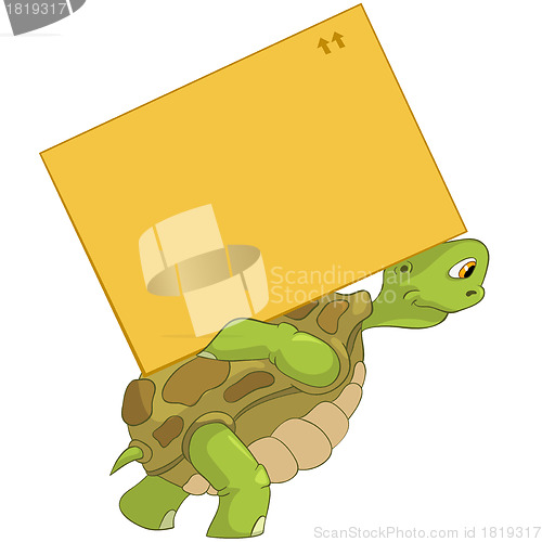Image of Funny Turtle. Delivery.