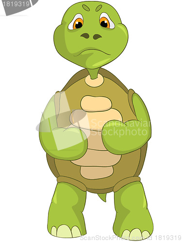 Image of Angry Turtle.