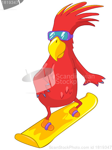 Image of Funny Parrot. Snowboarding