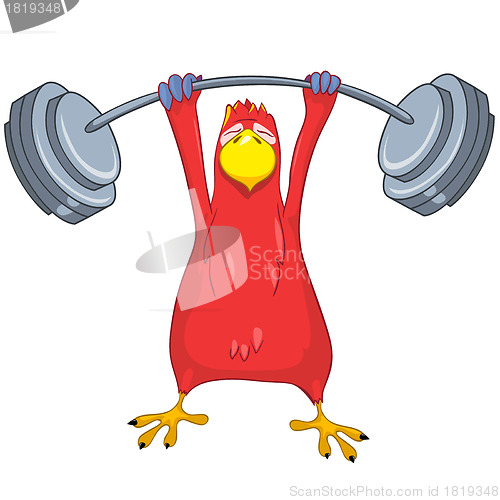 Image of Funny Parrot. Gym