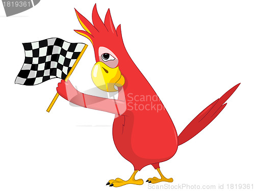 Image of Funny Parrot. Racing.