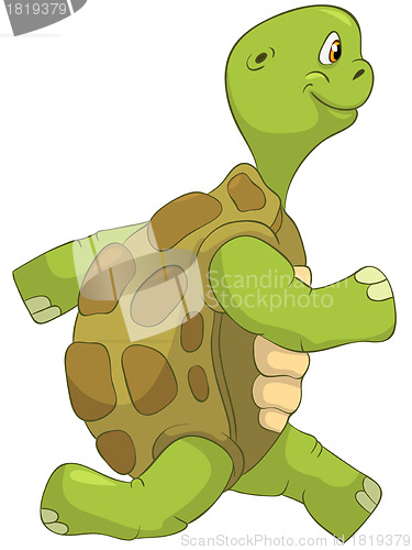Image of Funny Turtle. Running.