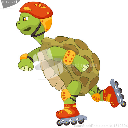 Image of Funny Turtle. Roller.