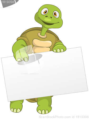 Image of Funny Turtle