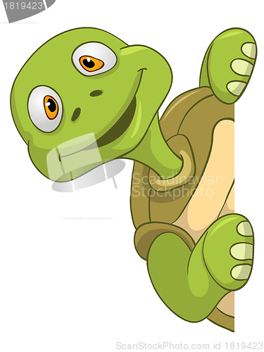 Image of Funny Turtle