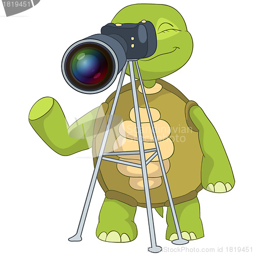 Image of Funny Turtle. Photographer.