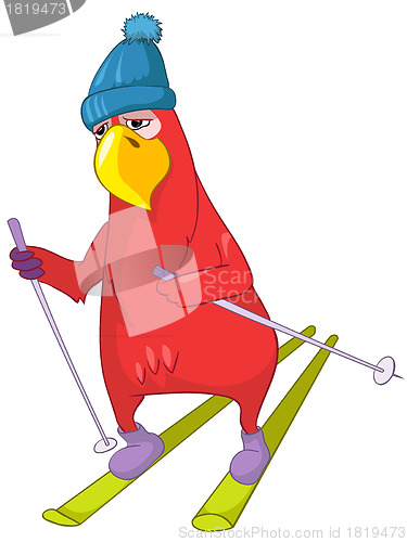 Image of Funny Parrot. Skiing.
