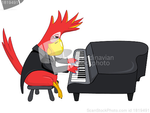 Image of Funny Parrot. Pianist.