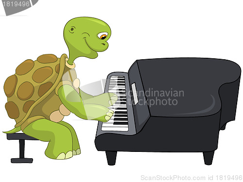 Image of Funny Turtle. Pianist.