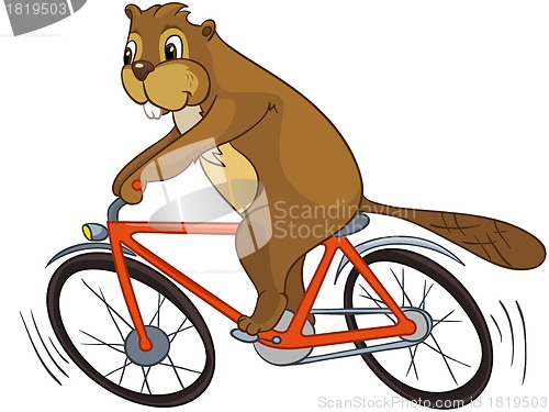 Image of Beaver CREES. Look for Funny Beaver by Keyword "CREES".