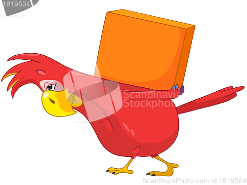 Image of Funny Parrot. Delivery.