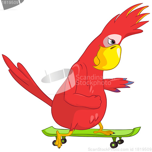 Image of Funny Parrot. Skateboarding