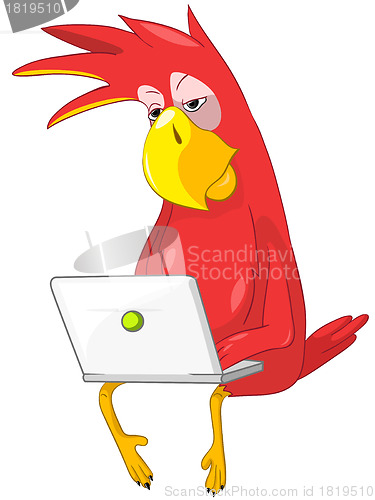 Image of Funny Parrot. Coder.